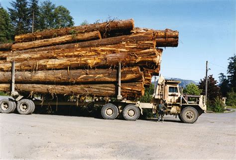 Big road logs. Things To Know About Big road logs. 